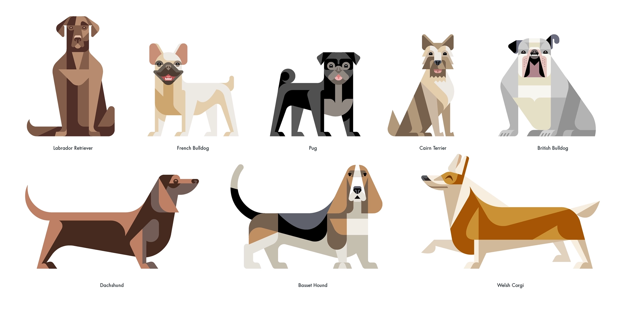 • Dog characters for Petco PetCoach Josh Brill • Dog characters for Petco PetCoach