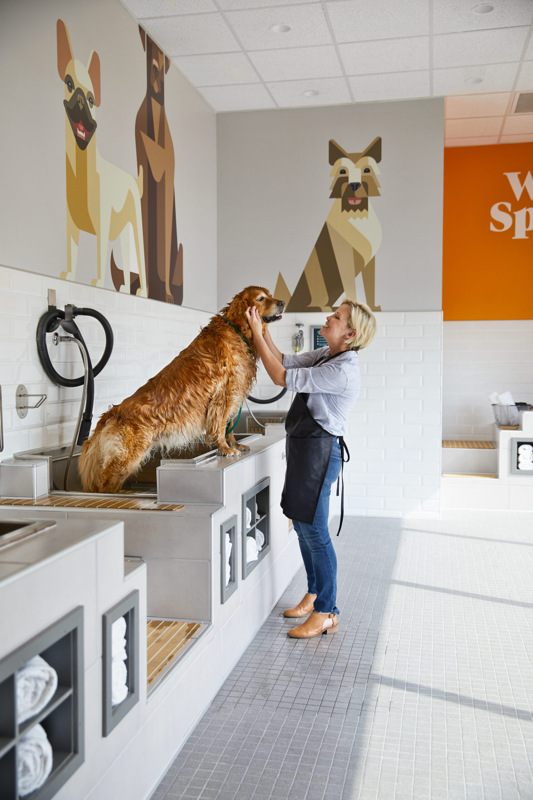 Josh Brill • Petco PetCoach store murals
