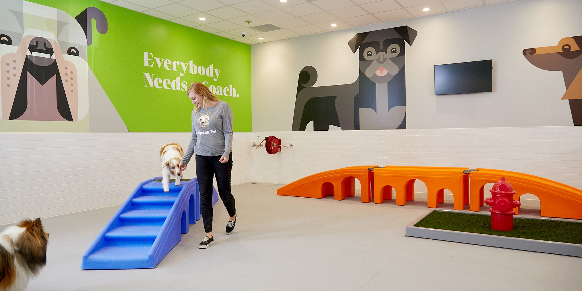 Josh Brill x Petco PetCoach murals