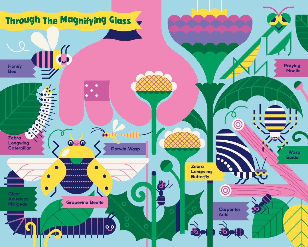 Loulou & Tummie • illustrations for Literati