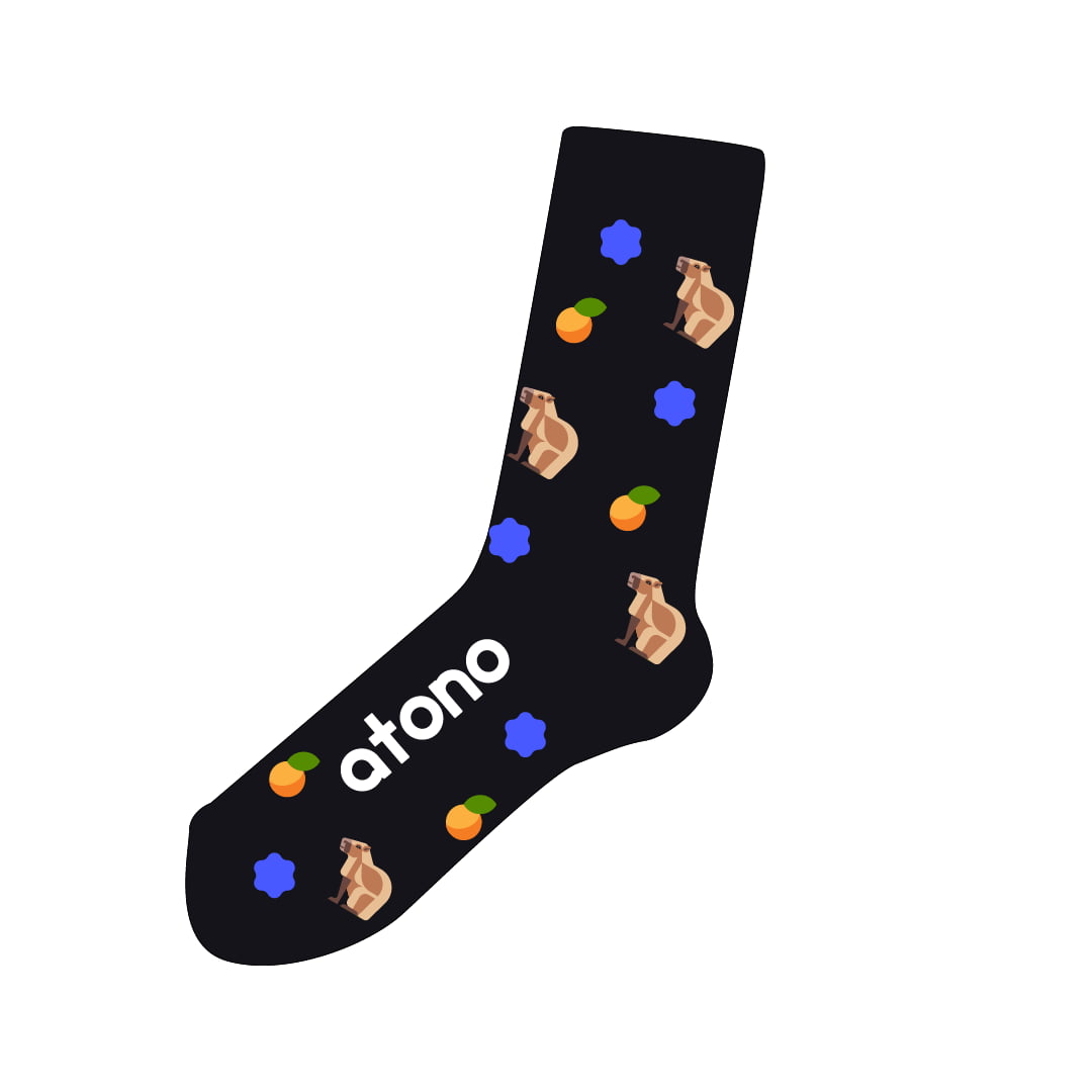 • Atono socks design • Josh Brill capybara socks for Atono