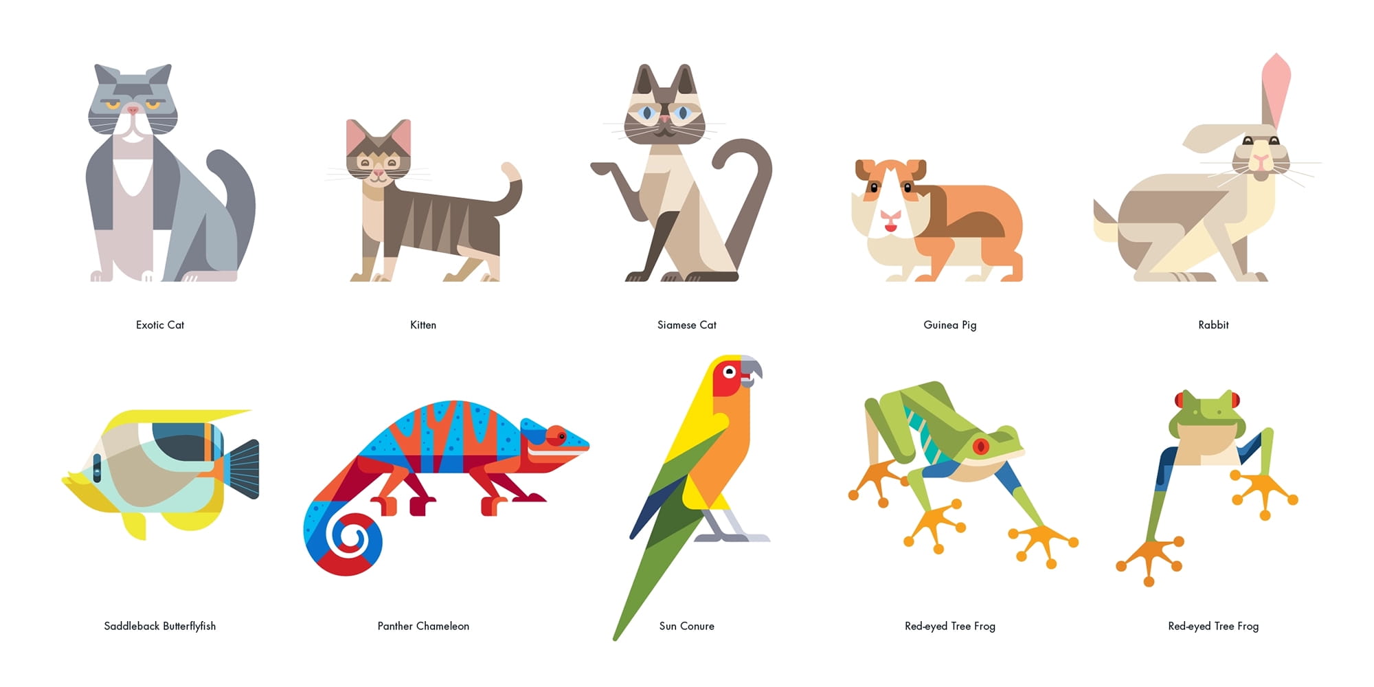 Josh Brill • Petco PetCoach animal characters Josh Brill • Petco PetCoach animal characters
