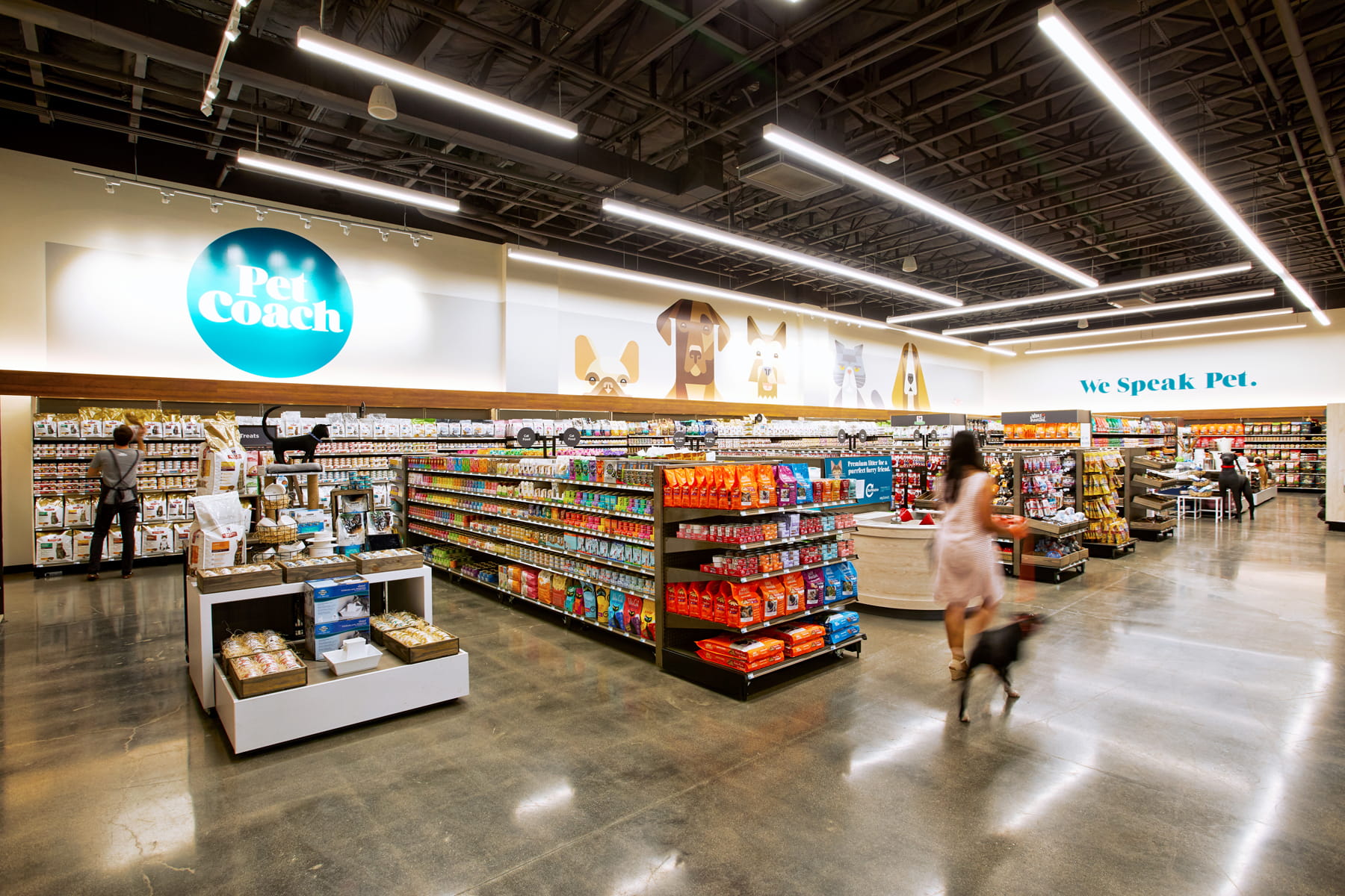 • Retail space mural Josh Brill • Petco PetCoach retail space mural