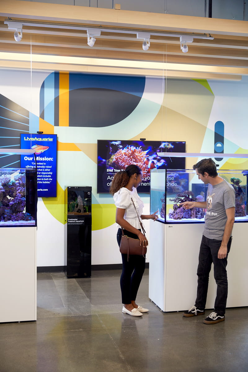 Josh Brill •  Petco PetCoach Tropical fish illustration