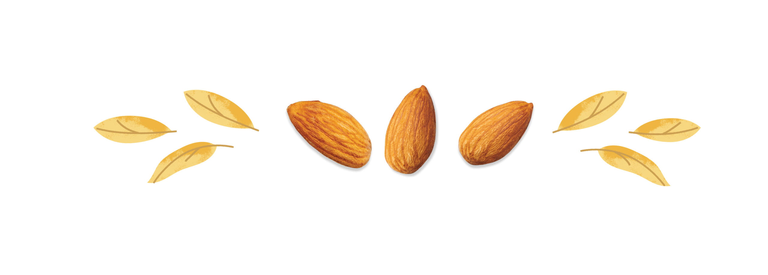 Olio • Three Trees Packaging